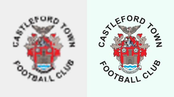 2. Logo Conversion